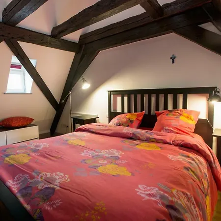 Apartment Triplex Avec Poutres Apparentes *