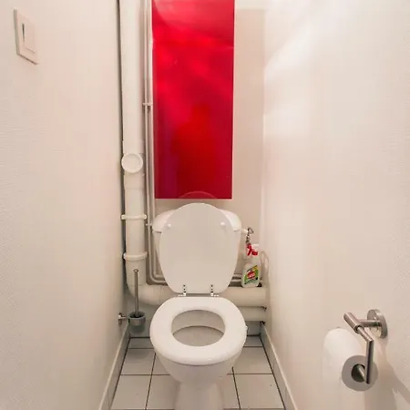 Appartement Triplex Avec Poutres Apparentes Strasbourg